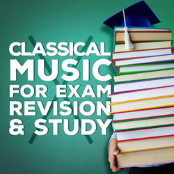 Brandenburg Concerto No. 6 in B-Flat Major, BWV 1051: II. Adagio ma non-tanto