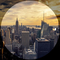 The Harlem Connection