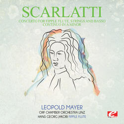 Concerto for Fipple Flute, Strings and Basso Continuo in A Minor: I. Allegro