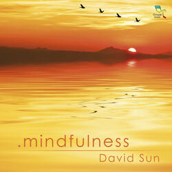 Mindfulness
