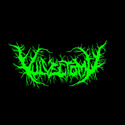 Split-Thickened Vulvar Skin