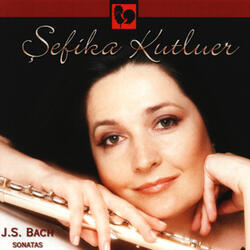 Flute Sonata in G Minor, BWV 1020: I. Allegro