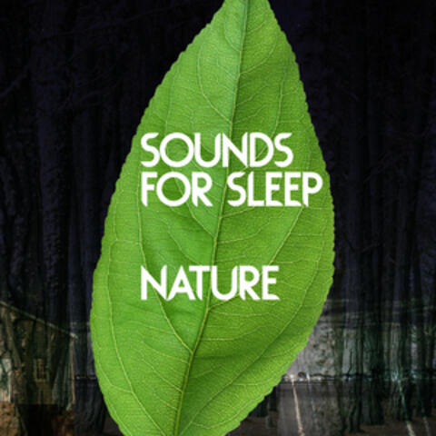Sounds for Sleep: Nature