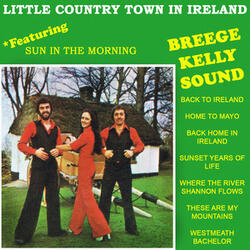 Little Country Town in Ireland
