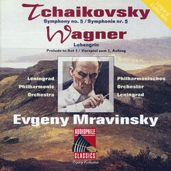 Symphony No. 5 in E Minor, Op. 64: I. Andante - Allegro con anima