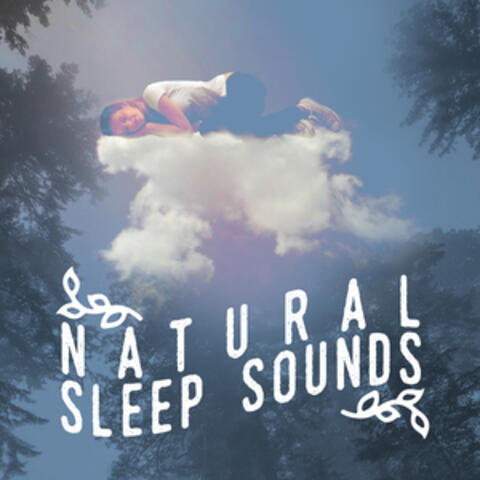 Sleep Sounds of Nature