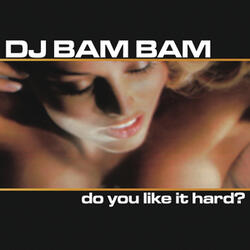 Do You Like It Hard? (Continuous DJ Mix)