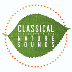 Nocturne No. 8 in D-Flat Major, Op. 27 No. 2