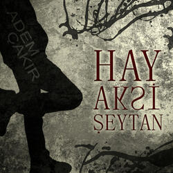 Acil Çıkışımcı