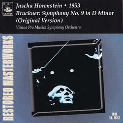 Symphony No. 9 in D Minor: I. Feierlich, misterioso