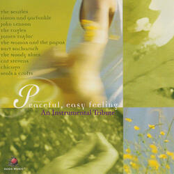 Bridge over Troubled Water