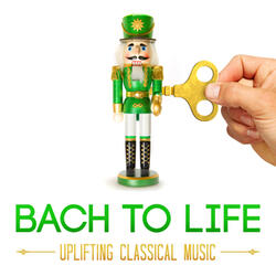 String Quintet in E Major, Op. 11, No. 5: III. Minuetto