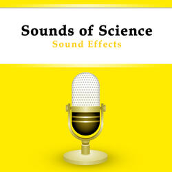 Electnonics Siren (2)