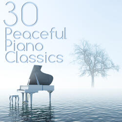 Piano Concerto No. 4 in G Major, Op. 58: II. Andante con moto