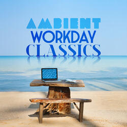 Violin Concerto No. 3 in G Major, K. 216: II. Adagio