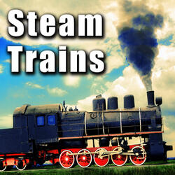 Steam Train Locomotive Horn Sounding