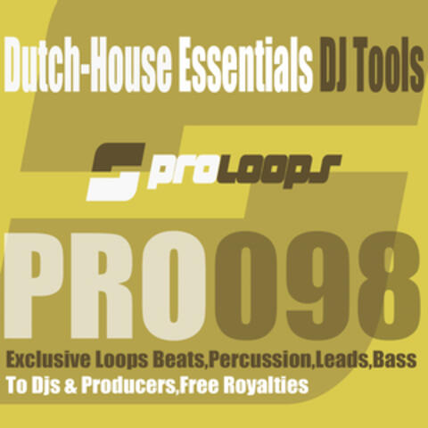 Dutch House Essentials DJ Tools