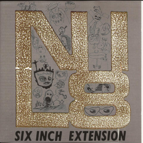 Six Inch Extension