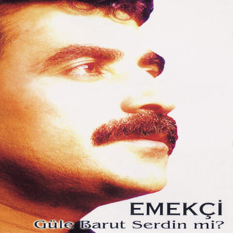 Güle Barut Serdin mi