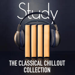 Sonata No. 6 for Strings in D Major: II. Andante assai