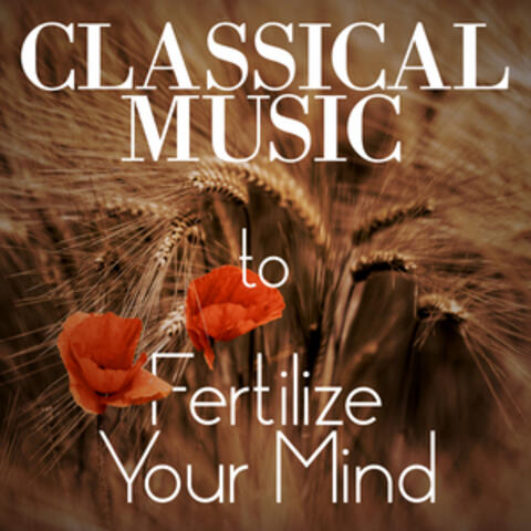 Classical Music - To Fertilize Your Mind