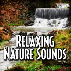 Thunderstorm Ambience for Natural Relaxation with Nature Sound