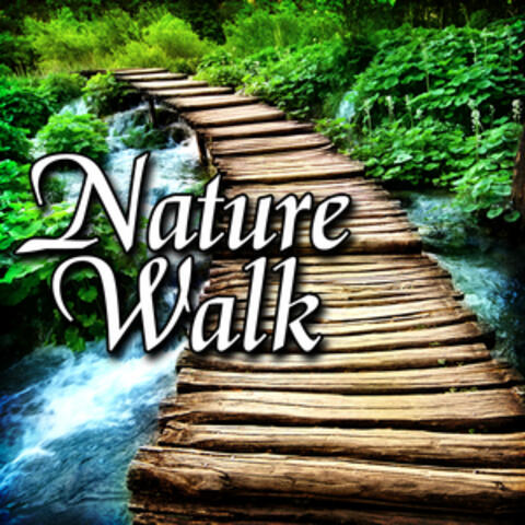 Nature Walk (Nature Sound)