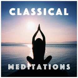 Concerto for Two Violins, Strings and Continuo in D Minor, BWV 1043: II Largo ma non tanto