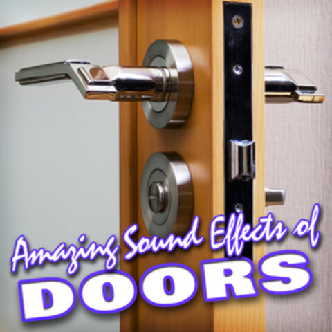 Amazing Sound Effects of Doors