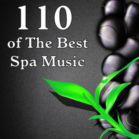 110 of the Best Spa Music