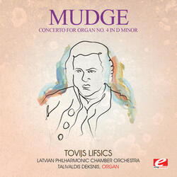 Concerto for Organ No. 4 in D Minor: II. Allegro ma non troppo