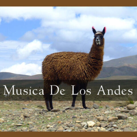 Musica de los Andes