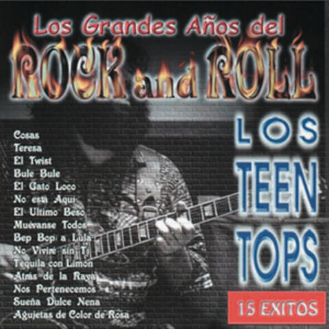 Los Grandes Años del Rock Vol. I