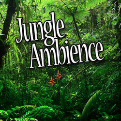 Jungle Habitat for Deep Sleep and Relaxation (Nature Sound)