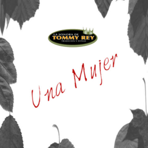 Una Mujer - Single