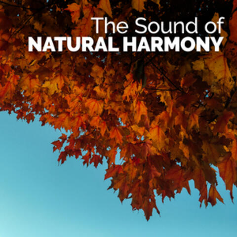 The Sound of Natural Harmony