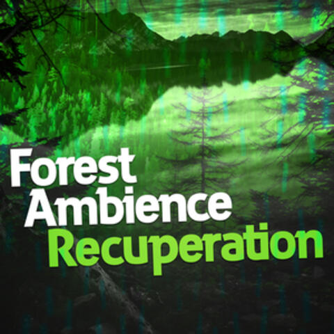 Forest Ambience Recuperation
