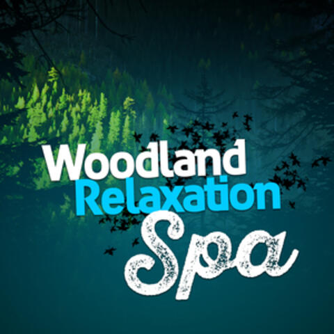 Woodland Relaxation Spa