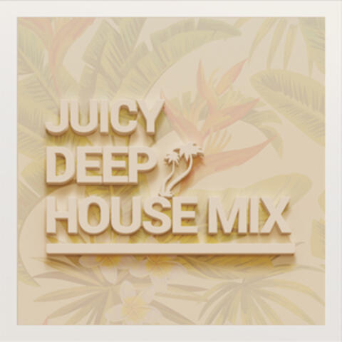 Juicy Deep House Mix