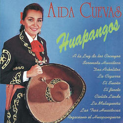 Rogaciano el Huapanguero
