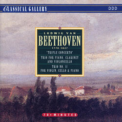 Concerto for Violin, Cello and Piano in C Major, Op. 56 - "Triple Concerto": II. Largo