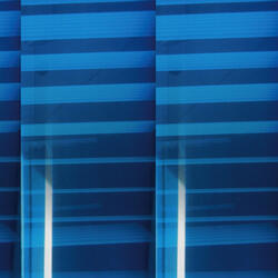 Animate