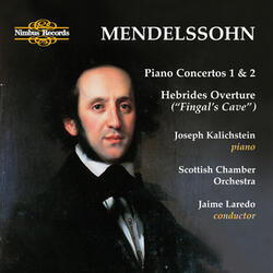 Piano Concerto No. 2 in D Minor, Op. 40: I. Allegro appassionato