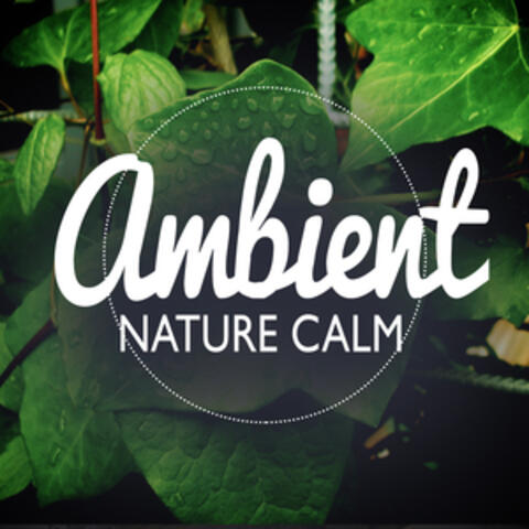Ambient Nature Calm