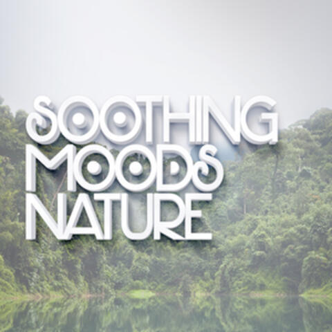 Soothing Moods: Nature