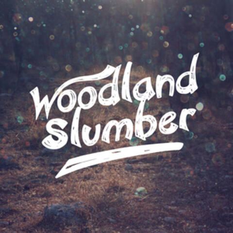 Woodland Slumber