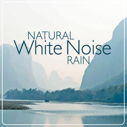 Wind and Rain