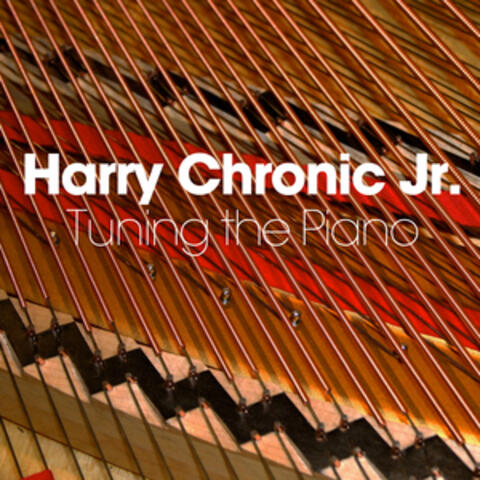 Tuning the Piano