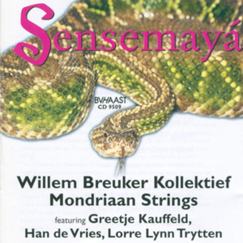 Willem Breuker Kollektief & Mondriaan Strings