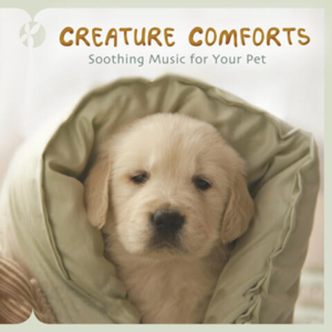 Creature Comforts